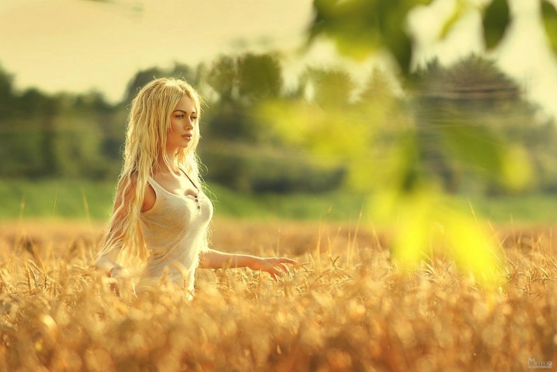 Красивая девушка в поле