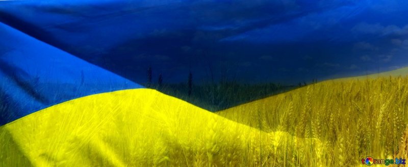 Цвета Украины