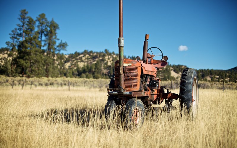 Старинные трактора в поле