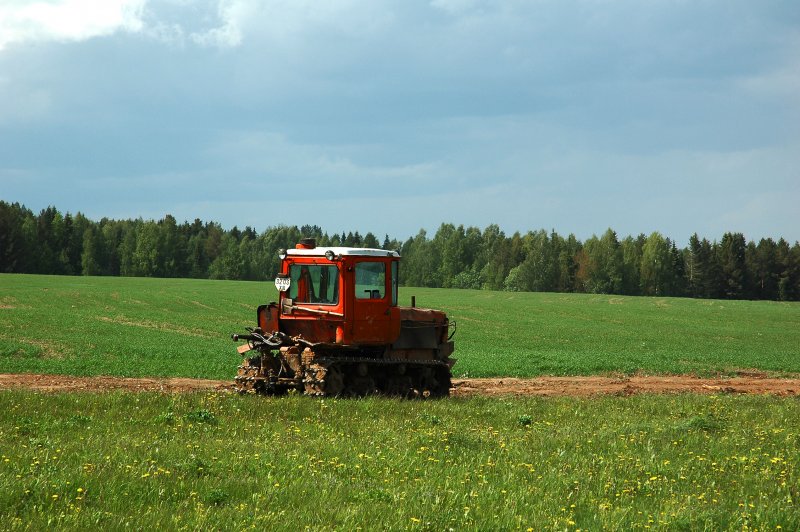 Трактор на поле Алтай
