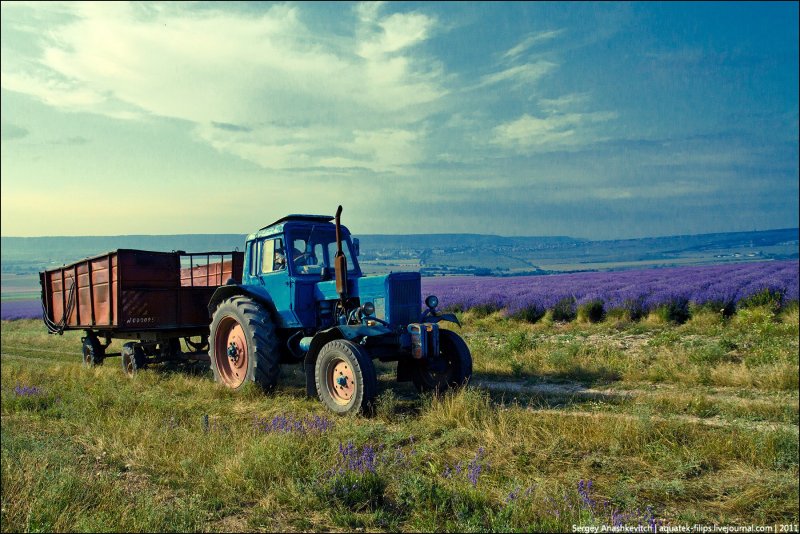 Советские трактора в поле