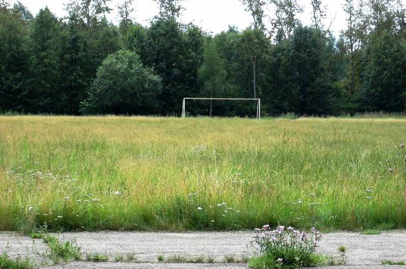 Заросшее футбольное поле