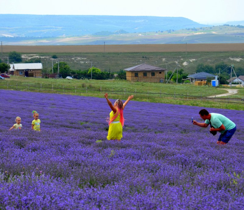 Фотосессия в лавандовом поле в Крыму