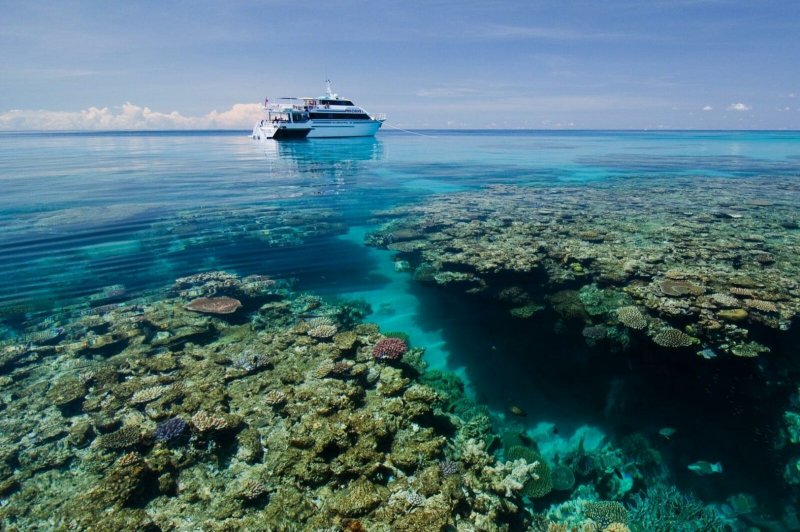 Квинсленд Австралия риф