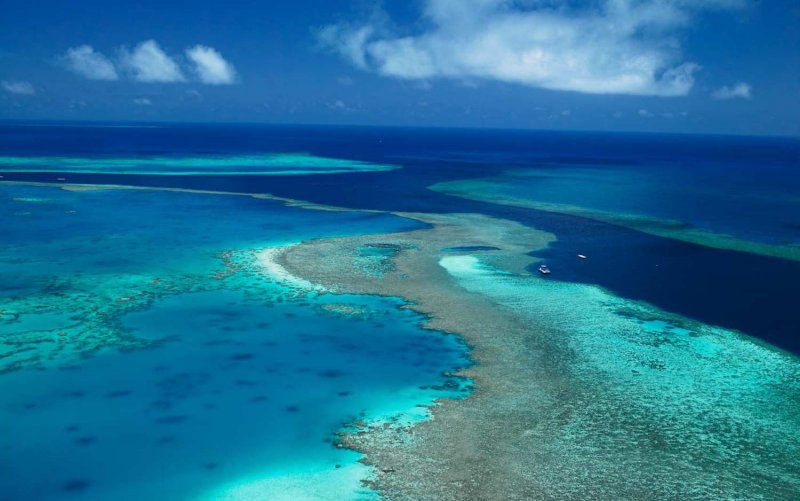 Остров леди Масгрэйв, большой Барьерный риф, Австралия