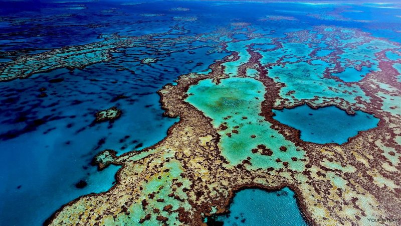Большой Барьерный риф (ББР). Австралия.