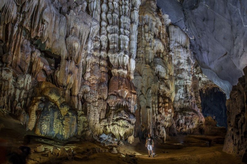 Лес пещеры Шондонг, Вьетнам