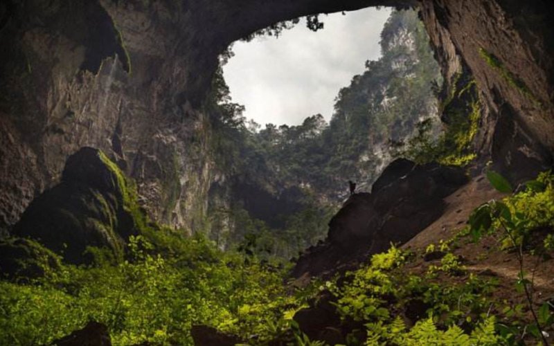 Шондонг (hang son Doong) - самая большая пещера в мире, Вьетнам