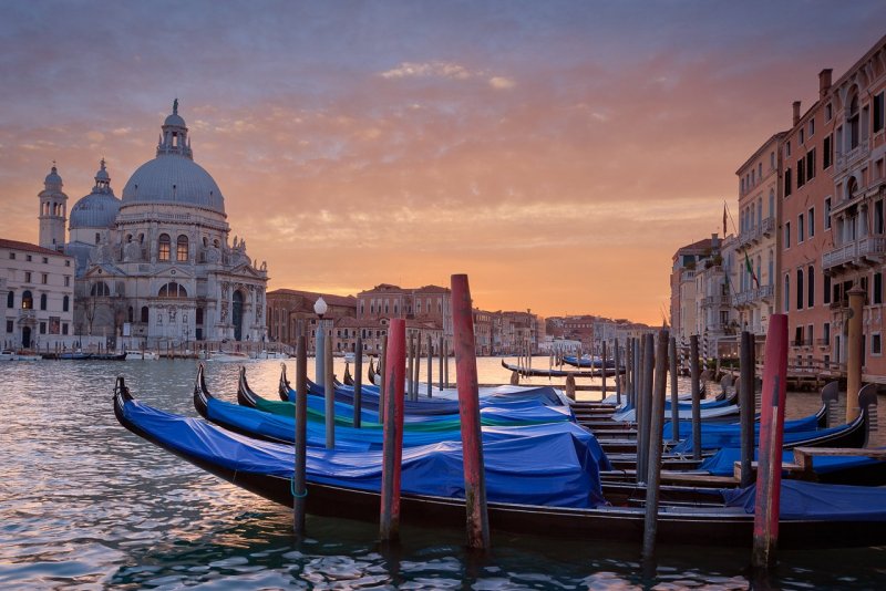 Венеция 2020 пересохли каналы