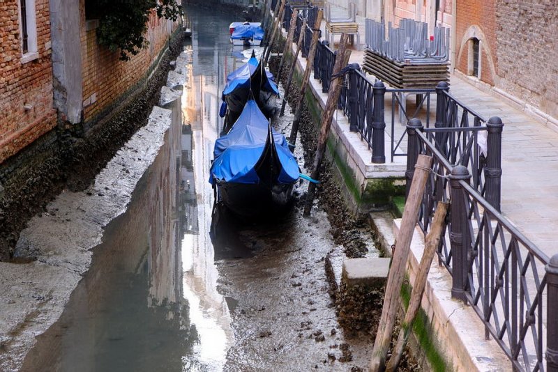 Каналы Венеции обмелели