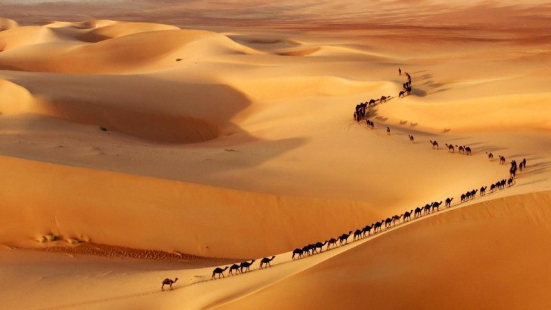 Караван в Аравийской пустыне