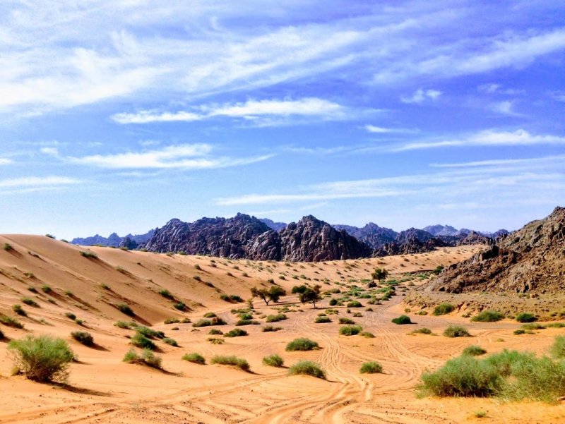 Пустыня Нефуд