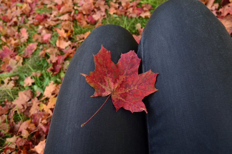 Осень букет из листьев в руках