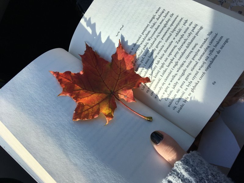 Листья осенние, книжки