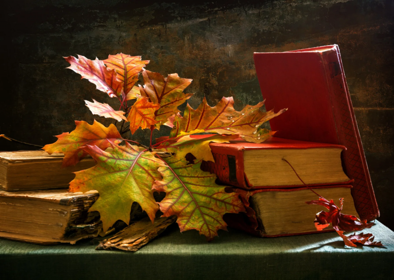 Книга и осенние листья