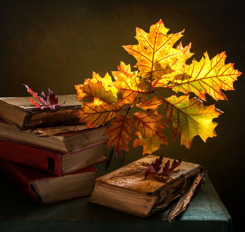 Книги стопка и осенние листья