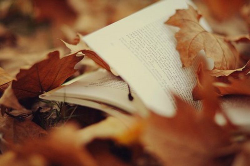 Осень листья поэзия