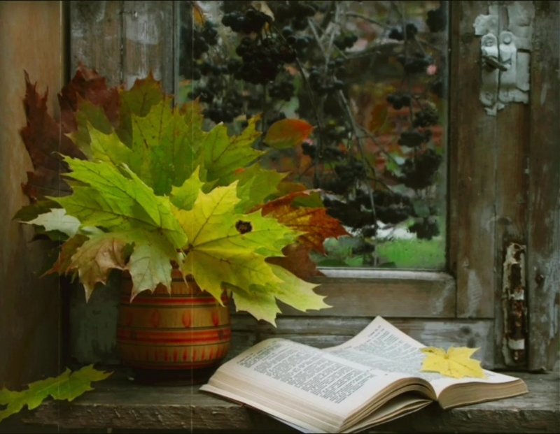 Книги про осень