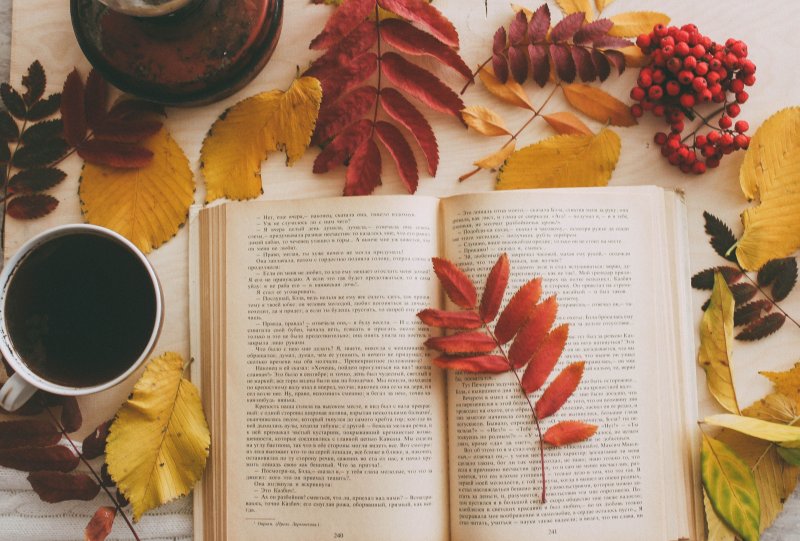 Осенний натюрморт с книгой