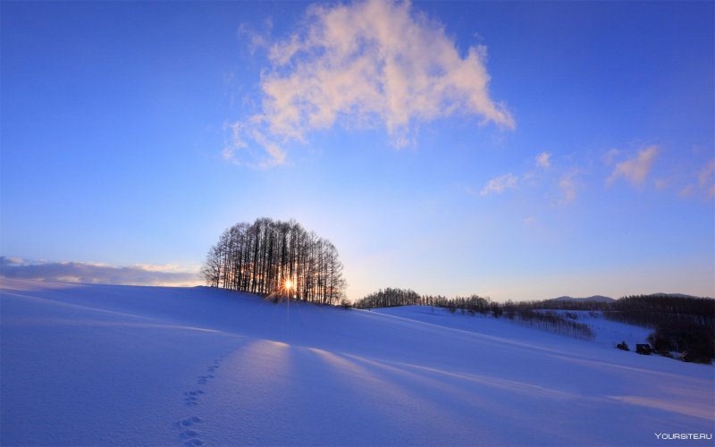 Снежное поле и солнце