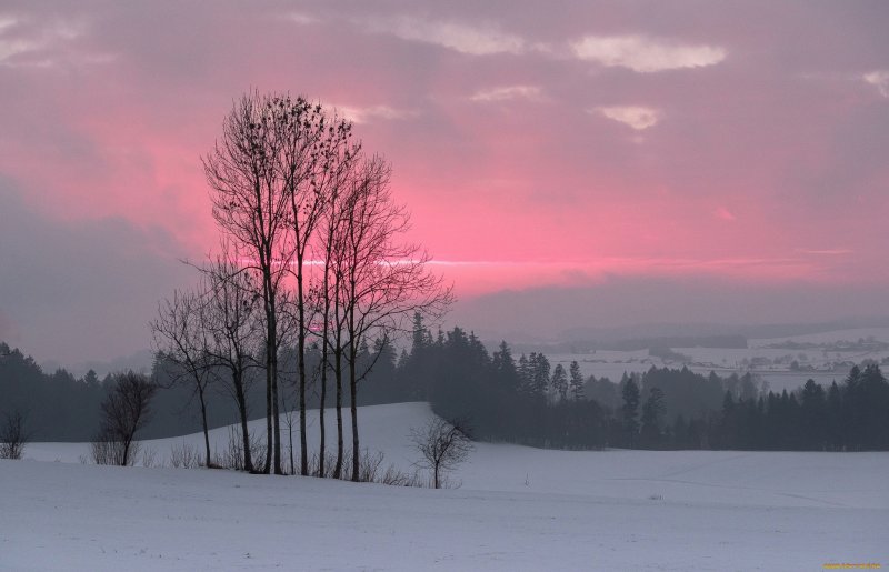 Зимний розовый рассвет