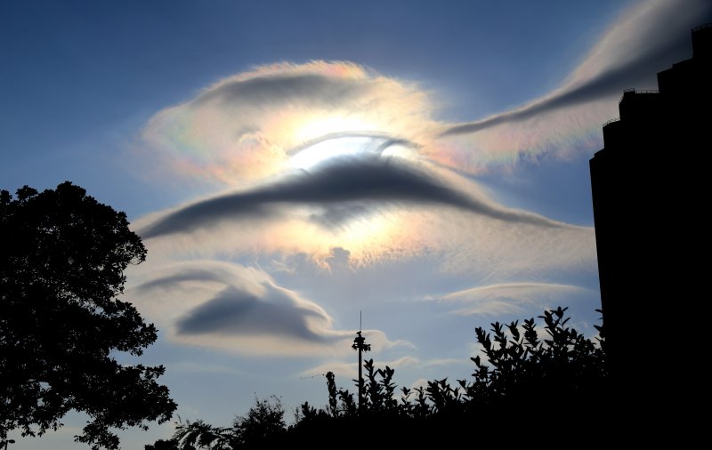 Облако в форме птицы