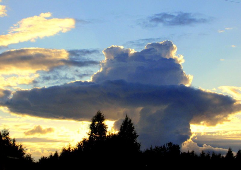 Облака в форме животных