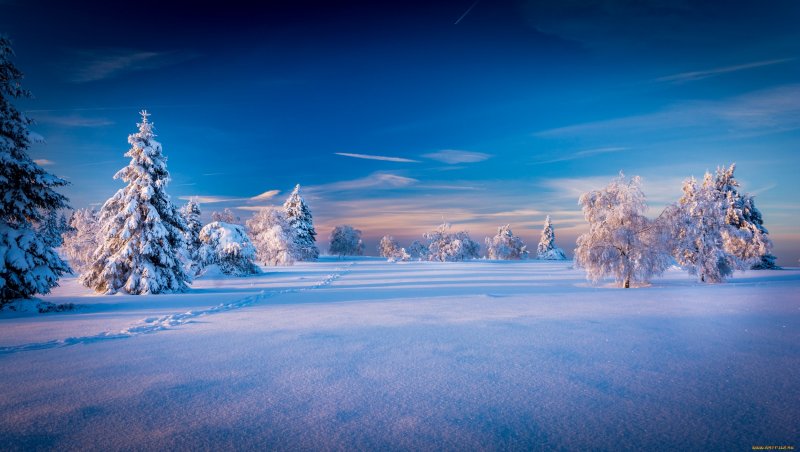 Лапландия дед Мороз Финляндия