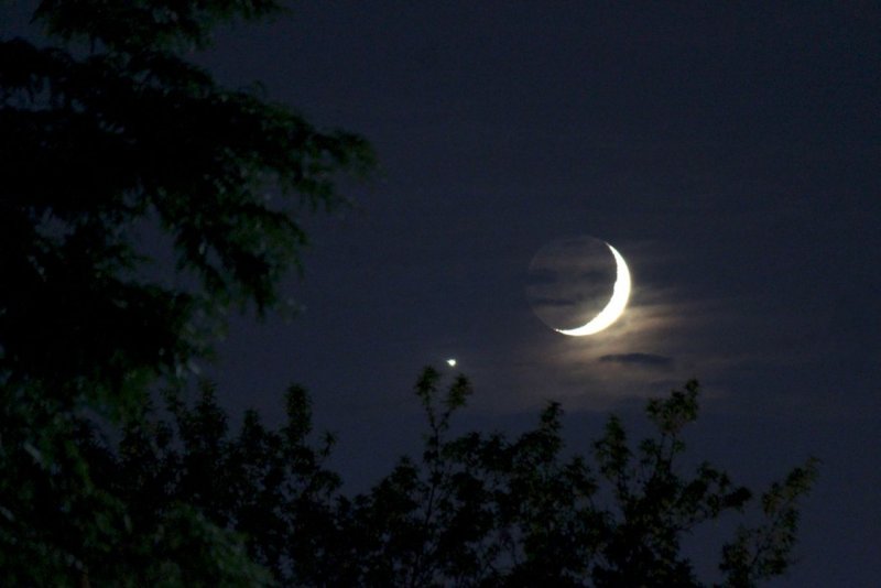 Ночное небо с луной и елями