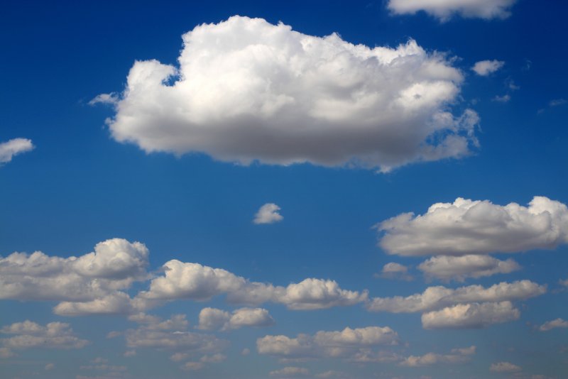 Кучевые облака в виде животных