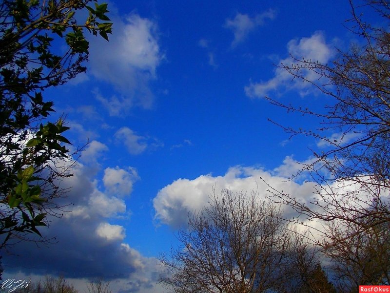 Голубое Весеннее небо