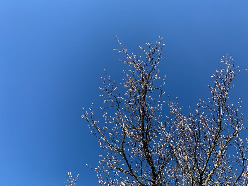 Небо весной