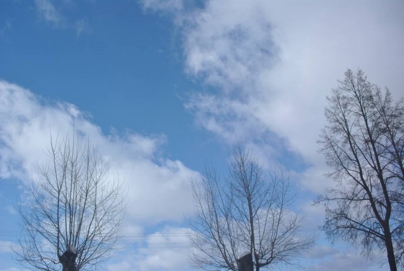 Голубое небо весной