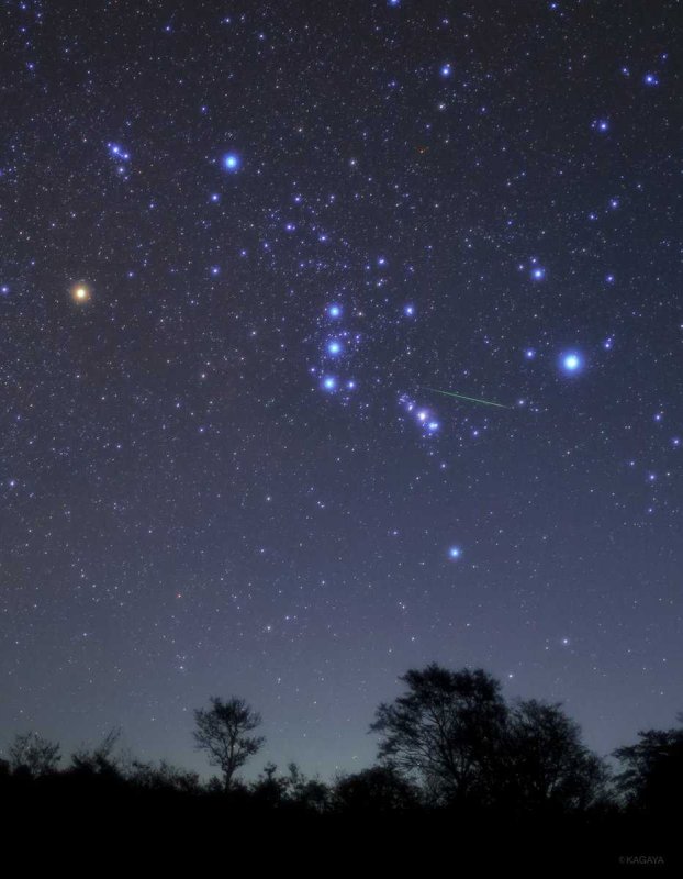 Звезда Сириус фото на небе
