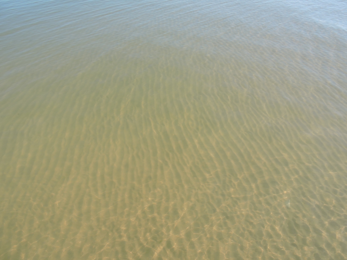 вода в каспийском море
