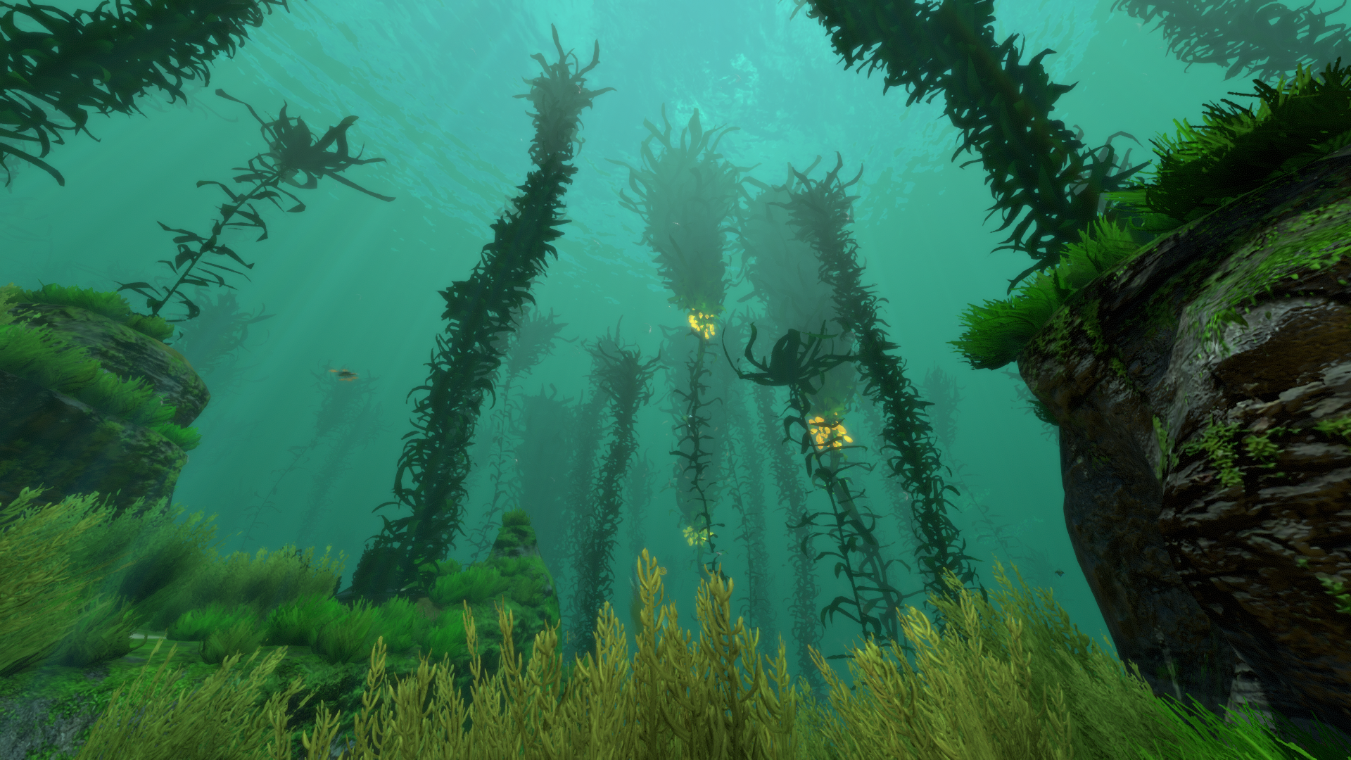 Какие водоросли глубоководные. Водоросли сабнаутика. Сабнатика Kelp Forest. Макроцистис водоросли. Макроцистис индийский океан.