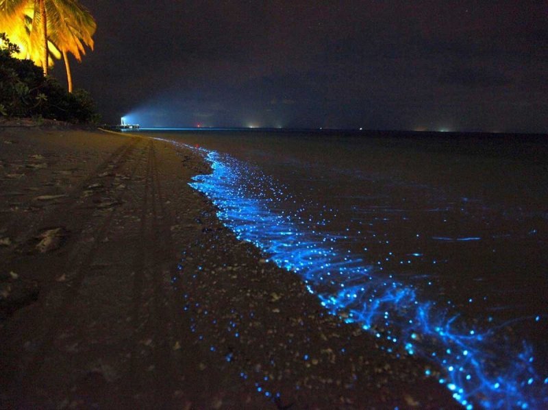 Пляж Ваадху Мальдивы