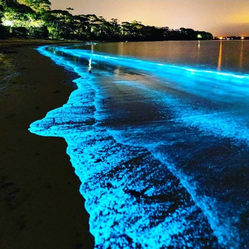 Кокоа пляж Флорида светится вода