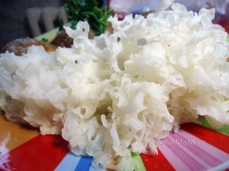 Белый древесный китайский гриб по корейски