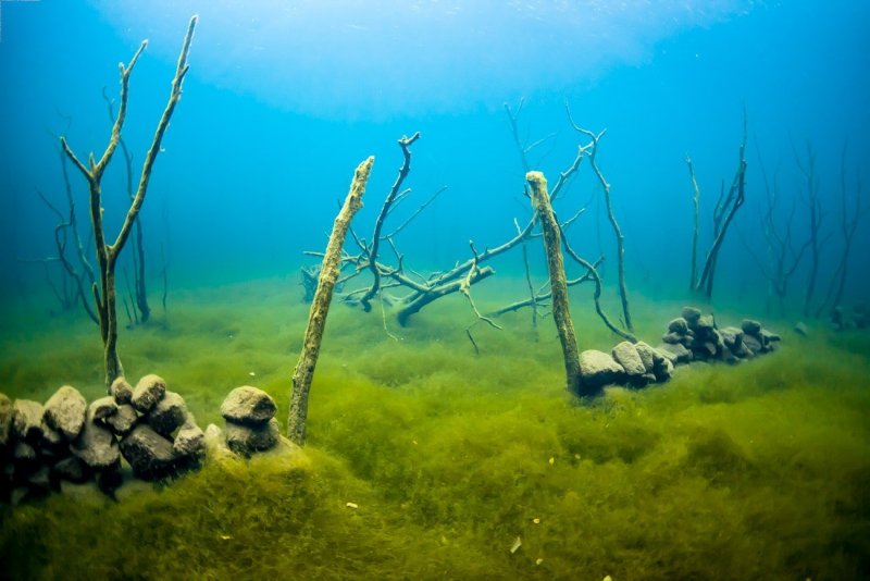 Подводный мир озера