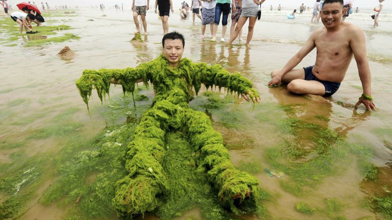 Человек в водорослях