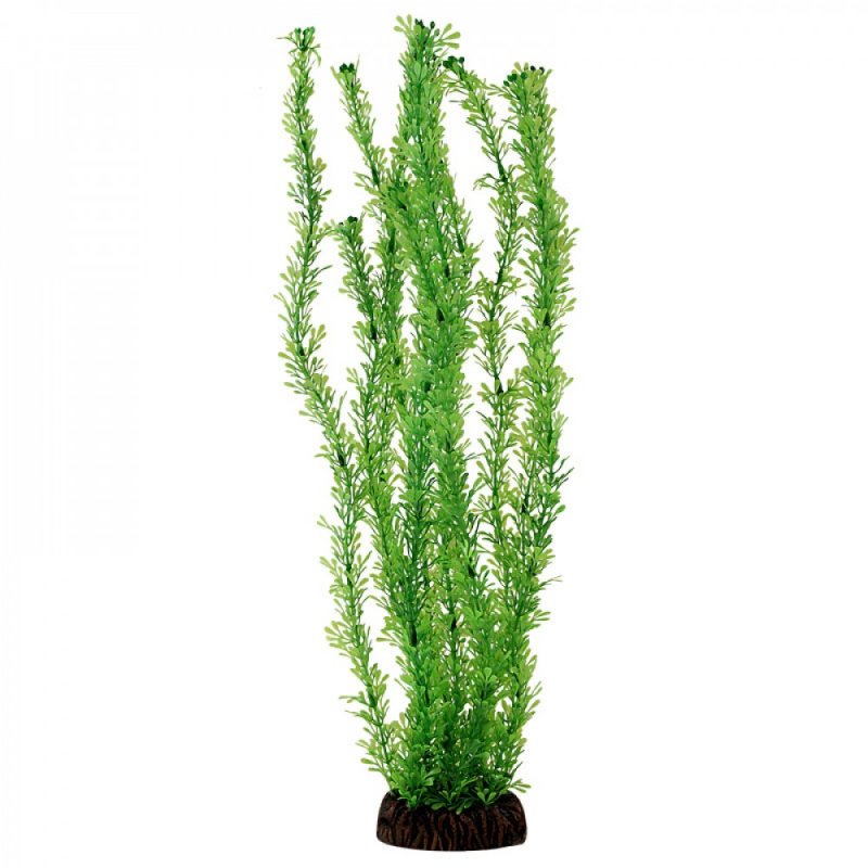 Искусственное растение ARTUNIQ Кабомба вильчатая 20 см