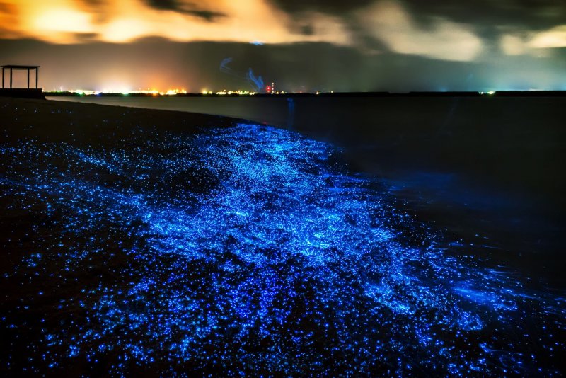 Остров Ваадху Мальдивы светящийся планктон