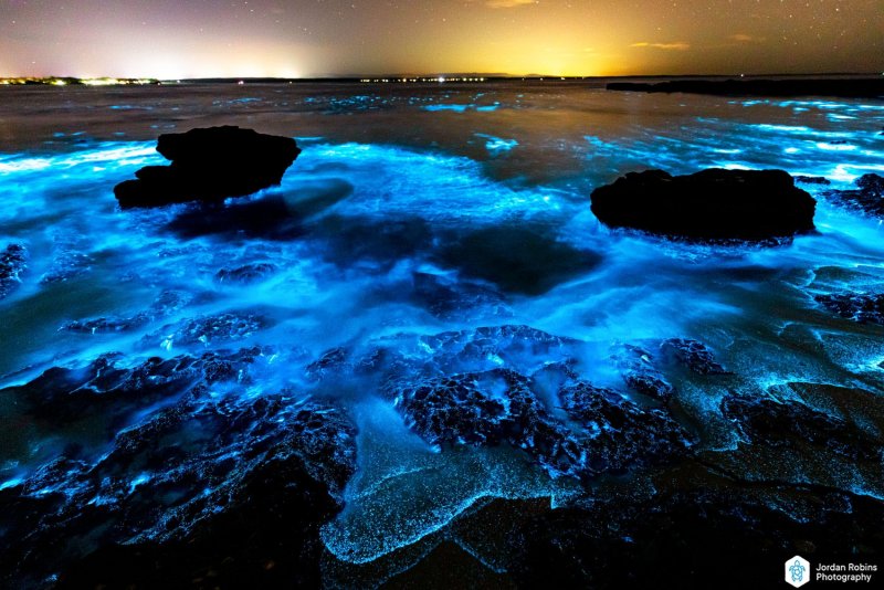 Светящийся океан биолюминесцентный