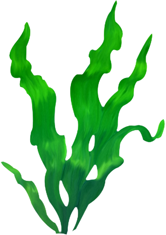 Стилизованные водоросли