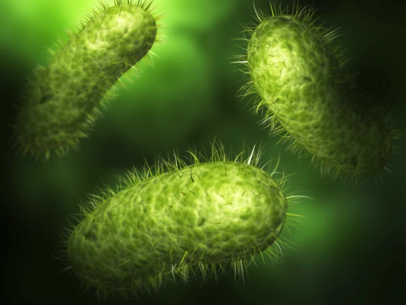 Зеленый микроб