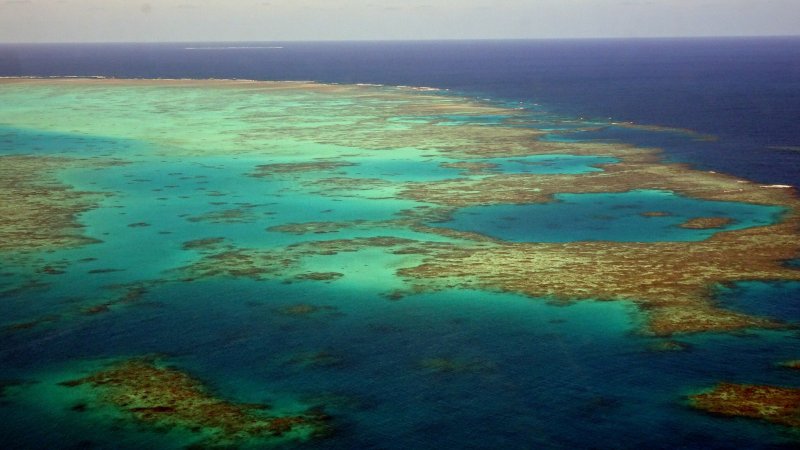 Саргассово море Бермудские острова