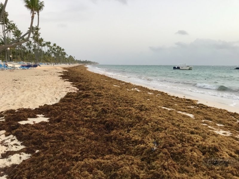 Пляжи Доминиканы без водорослей