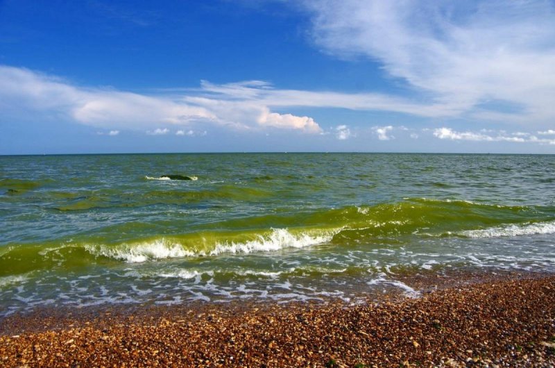 Азовское море позеленело