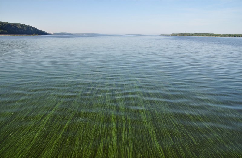 Чистая река Волга